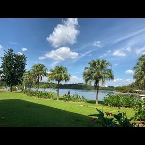 Meet your Posher, Taghreed